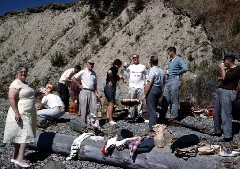 S0542 group on seashore